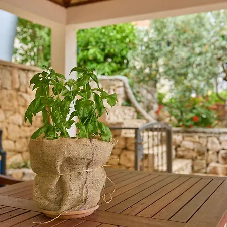 Hansal Saplunara