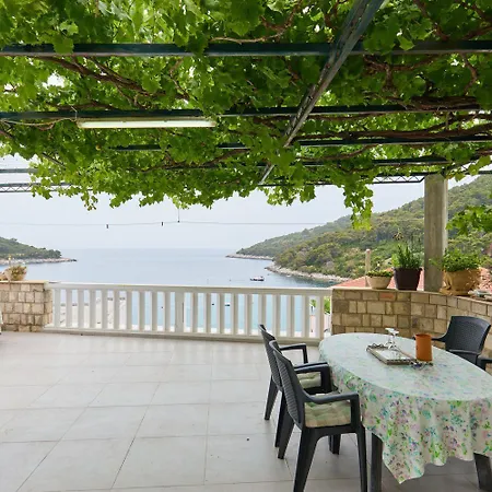 Apartment Hansal