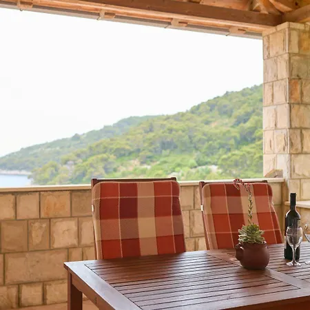 Hansal Apartment Saplunara