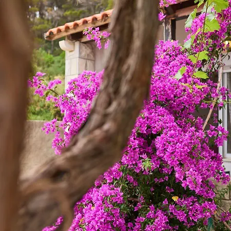 Apartment Hansal Saplunara