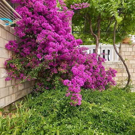 Hansal Saplunara