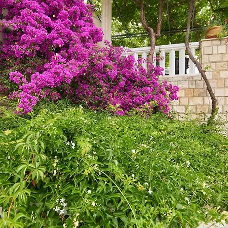 Hansal Apartment Saplunara