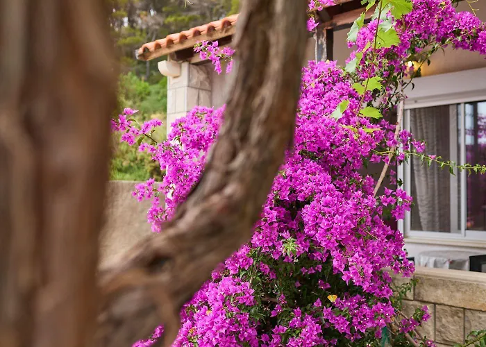 Apartmán Hansal Saplunara