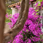 Apartament Apartments Jany Saplunara