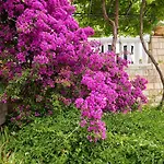 Apartament Apartments Jany *