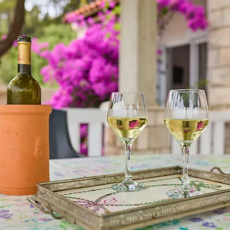 Apartment Hansal Saplunara