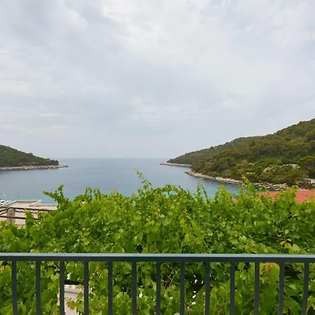 Jany Apartment Saplunara