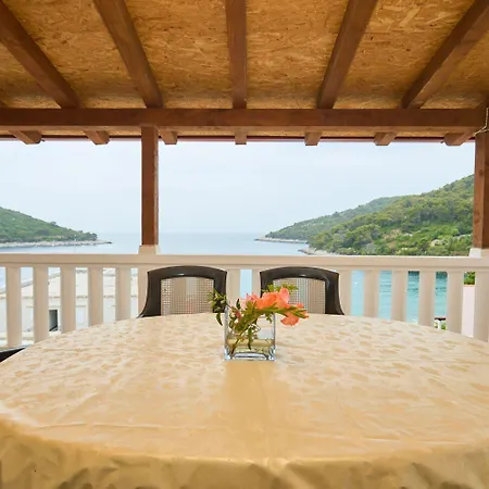 Apartment Jany Saplunara