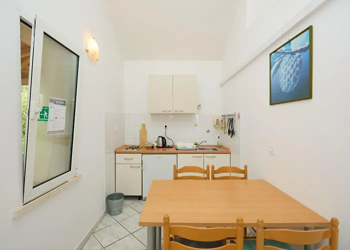 Apartments Jany 公寓 萨普伦纳拉